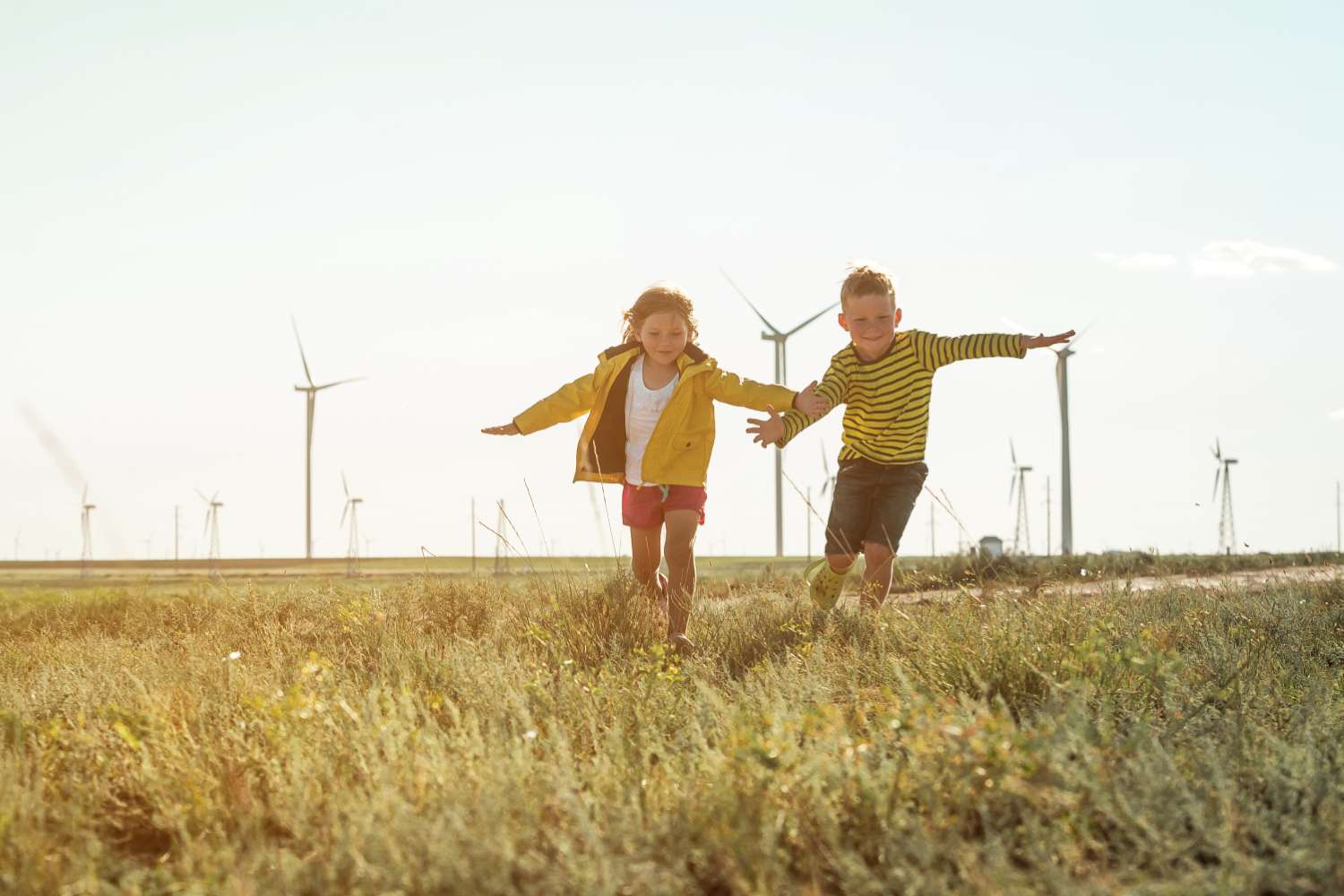 Sustainable Procurement