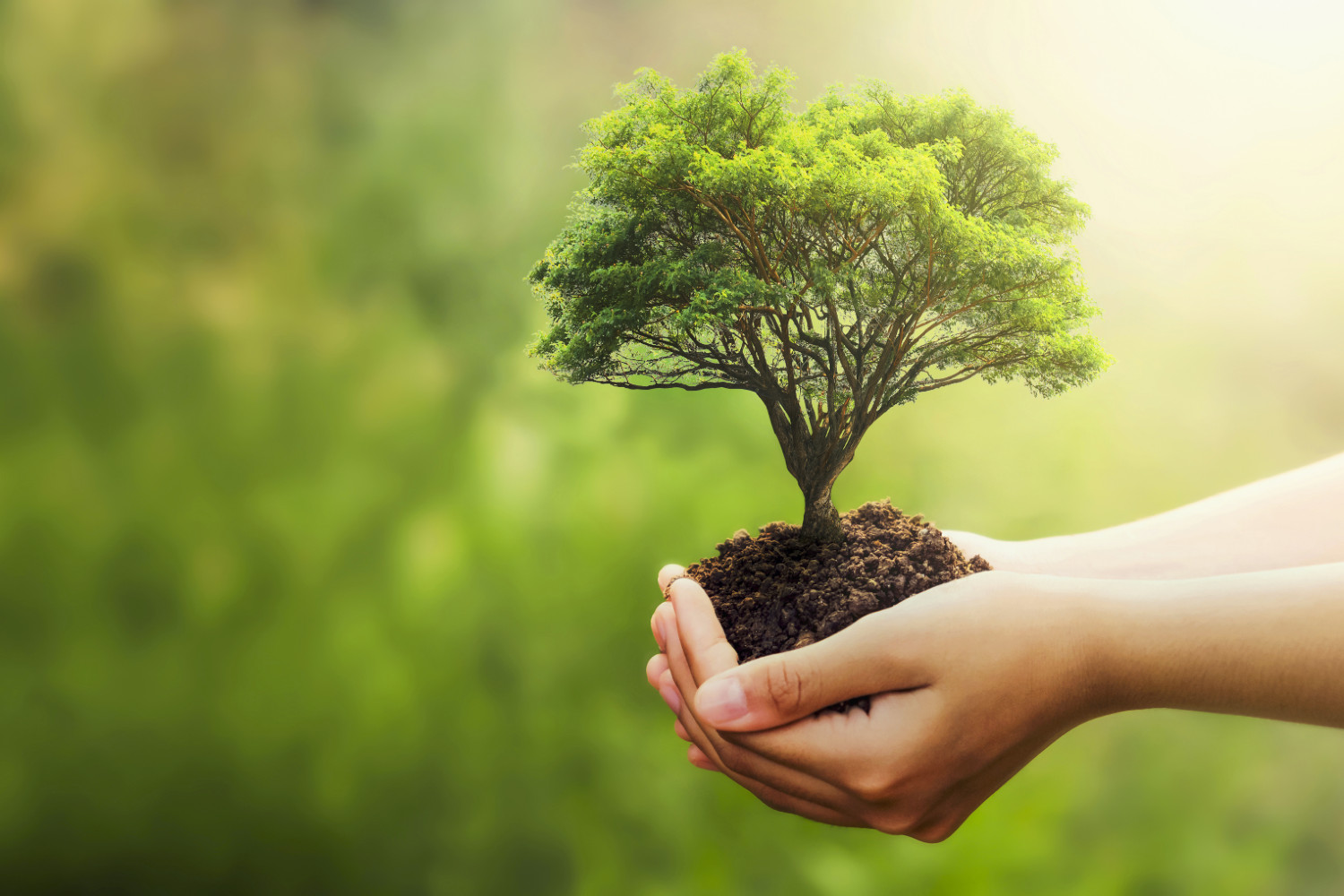 Additional Environmental Standards